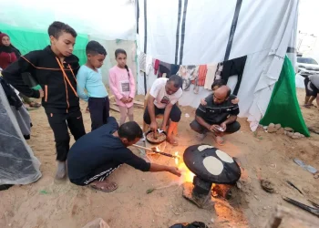 WFP: Warga Gaza Hadapi Risiko Kelaparan di Tengah Agresi