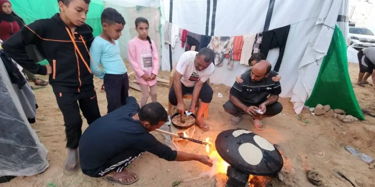 WFP: Warga Gaza Hadapi Risiko Kelaparan di Tengah Agresi