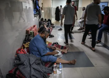 WHO: Gaza beresiko jadi tempat penularan penyakit