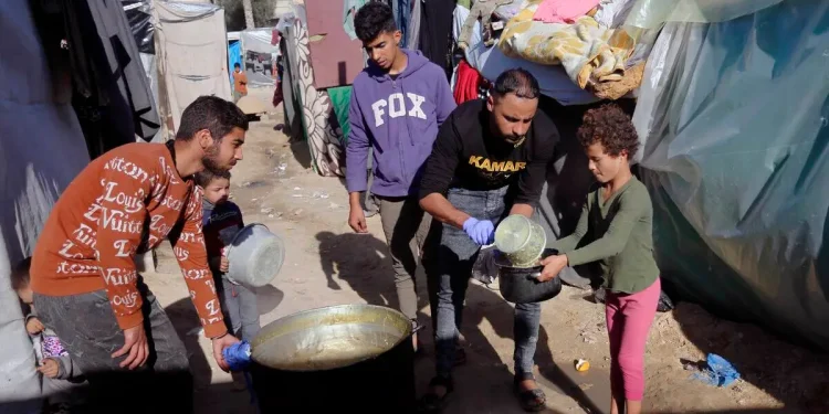 71% Orang Menderita Kelaparan Akut di Gaza 