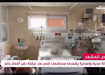 Lima Bayi Prematur Palestina Ditemukan Meninggal di Rumah Sakit Gaza