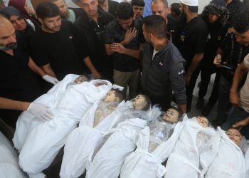 2023 Merupakan Tahun Genosida bagi Anak-Anak Palestina