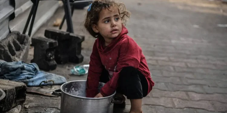 Bantuan yang Masuk Gaza Hanya Memenuhi 10% Kebutuhan Warganya 