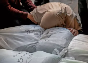 Genosida Israel ke Gaza: Dalam 24 Jam 147 Warga Palestina Dibunuh 