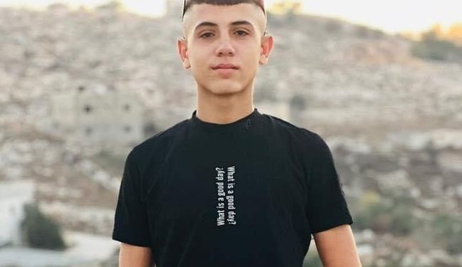 Seorang Remaja Palestina Terbunuh selama Konfrontasi di Selatan Jenin