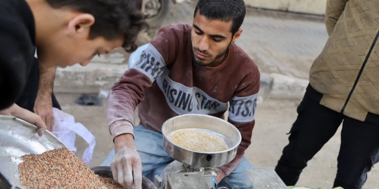 Warga Palestina Terpaksa Mencampur Pakan Hewan dengan Tepung untuk Membuat Roti