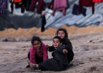 Di Tengah Rapuhnya Harapan Anak Gaza Akibat Agresi, Bagaimana Kabar Yatim Adara?