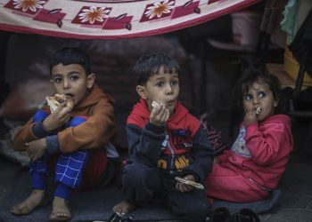 Press Release: Kabar Duka Kembali Datang dari Yatim Adara di Gaza