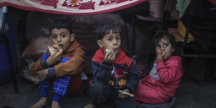 Press Release: Kabar Duka Kembali Datang dari Yatim Adara di Gaza