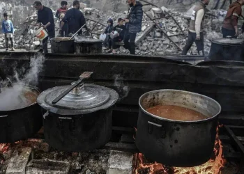 Abdullah Salah, Anak Berusia 12 Tahun yang Menjadi Tulang Punggung Keluarga di Tengah Kelaparan di Gaza 