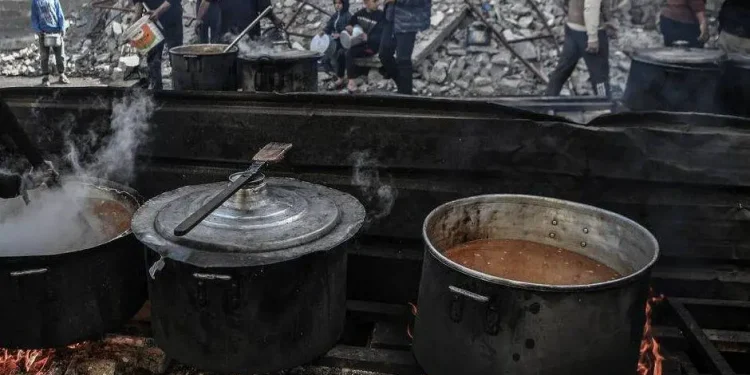 Abdullah Salah, Anak Berusia 12 Tahun yang Menjadi Tulang Punggung Keluarga di Tengah Kelaparan di Gaza 