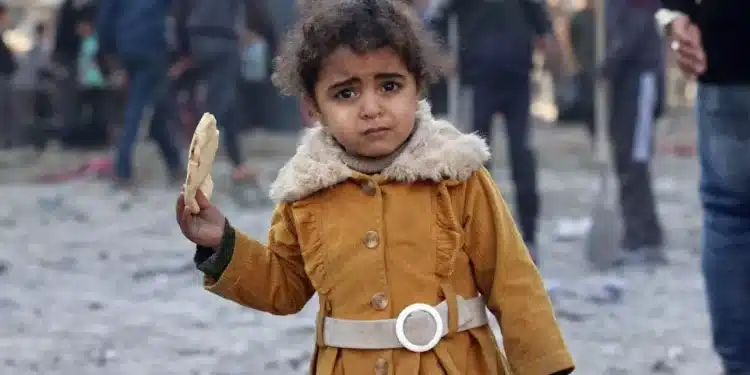 UNRWA: Pasokan Bantuan ke Gaza Berkurang Hingga 50 Persen