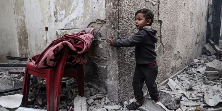 UNRWA: “Seruan Kami untuk Mengirimkan Bantuan Makanan Ditolak”