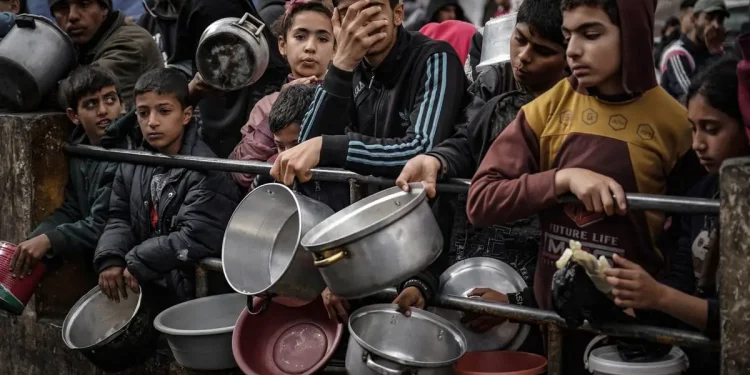 Warga Palestina di Jalur Gaza Utara Tidak Dapat Menemukan Makanan untuk Dimakan