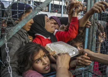 Israel Mengeksekusi 13 Anak di Dekat RS al-Shifa dalam Satu Pekan