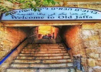 Kota Jeruk Yaffa, Jantung Palestina yang Telah Berhenti Berdetak