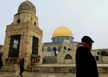 Palestina dalam Gambar, Februari 2024