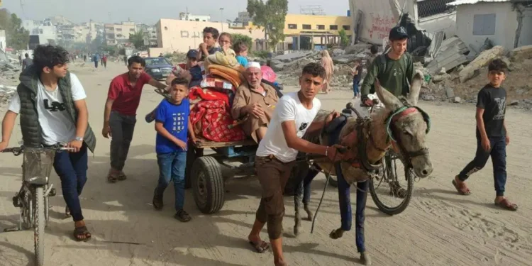 150.000 Warga Palestina telah Meninggalkan Rafah