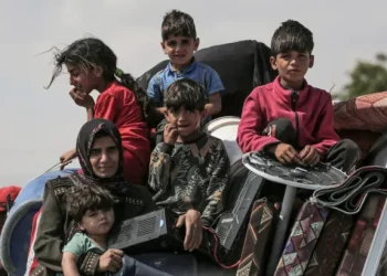 93.000 Balita Palestina Menderita Malnutrisi, Genosida Israel Menjadi Penyebab Utama