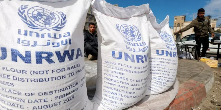 Oxfam Peringatkan Wabah Penyakit di Gaza