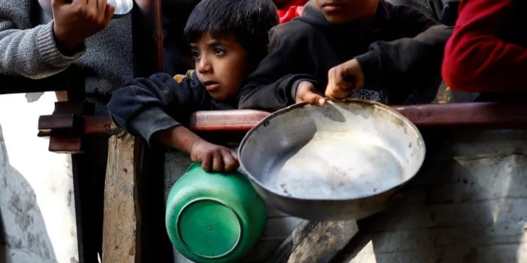 Kurban di Palestina dalam Konteks Kemanusiaan Global