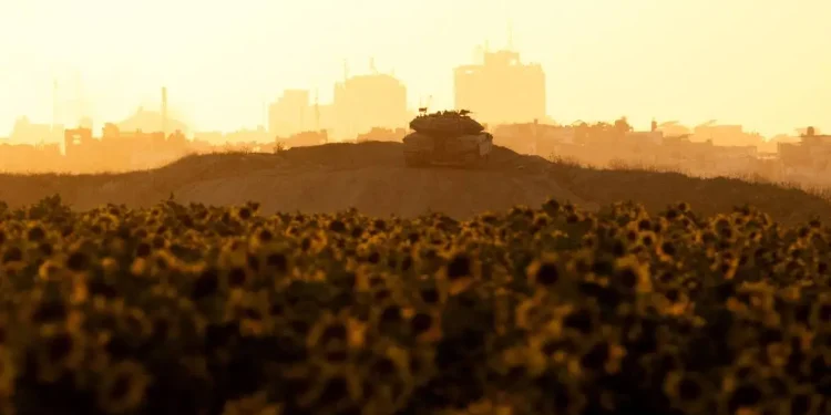 PBB: Lebih dari Separuh Lahan Pertanian di Gaza Rusak