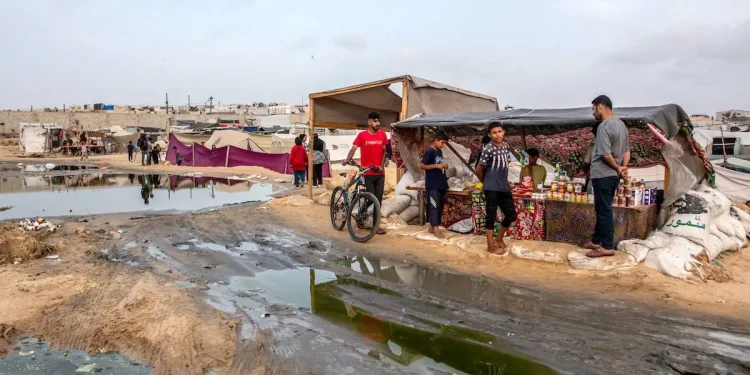 Pemulihan Lingkungan Alam di Gaza akibat Agresi Israel akan Memakan Puluhan Tahun