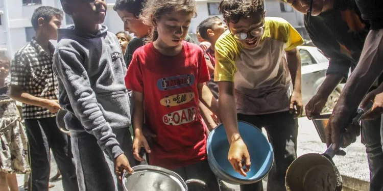 Sebanyak 96% Warga Gaza Menghadapi Kelaparan Ekstrem