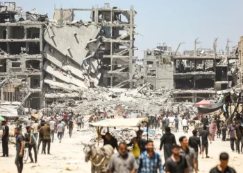 Update Hari ke-241: Lebih dari 1 Juta Orang Meninggalkan Rafah ketika Israel Menyerang