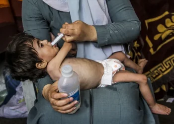 Update Hari ke-252: 5.698 Pelanggaran terhadap Anak-anak Dilakukan Israel