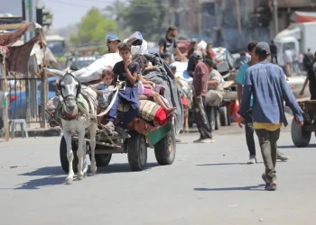 PBB: Hampir 86% Jalur Gaza Berada di Bawah Perintah Evakuasi Israel