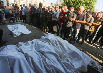 Update Hari ke-319: Amerika Serikat Mengulur Waktu untuk Israel Melancarkan Genosida di Gaza