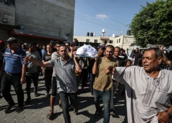 Update Hari ke-320: Israel Bunuh 52 Warga Gaza di tengah Negosiasi Gencatan Senjata