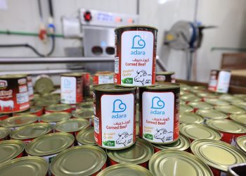 Truk Kontainer Pengangkut 39.039 Kaleng Kurban Kornet Adara Bersiap Memasuki Gaza