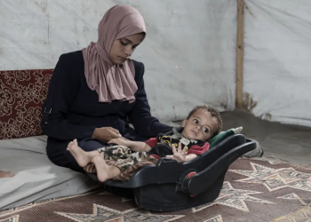 Update Hari ke-334: Zona Perang tetap Aktif di Luar Area Kampanye Polio