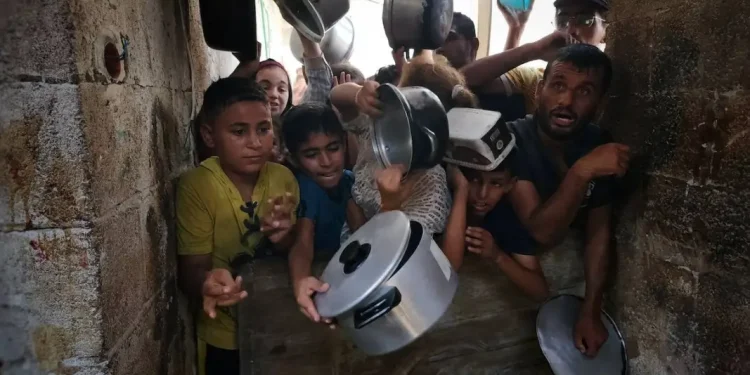 UNRWA Melaporkan Peningkatan 300% Kekurangan Gizi pada Anak di Gaza Utara