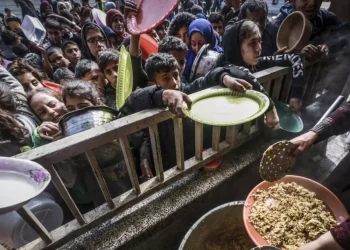 AS Menyimpulkan Israel Sengaja Memblokir Bantuan ke Gaza