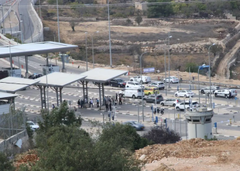 11.000 Pelajar Palestina Terbunuh sejak 7 Oktober