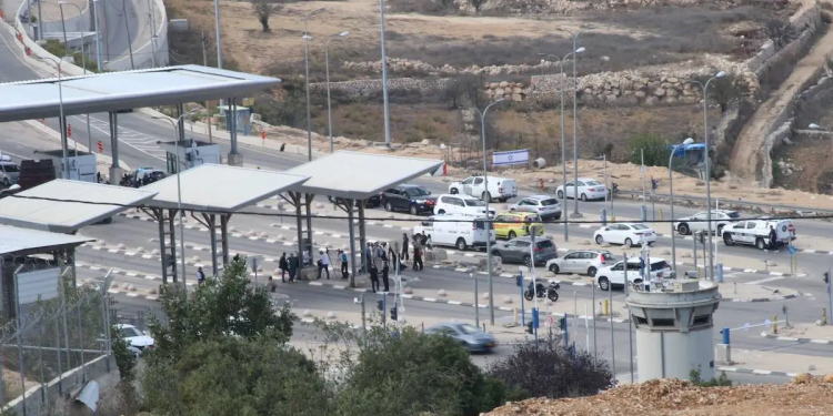 11.000 Pelajar Palestina Terbunuh sejak 7 Oktober