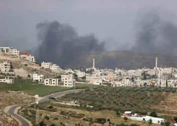 Pemukim Israel Menyerang Petani Palestina dan Merusak Rumah selama Panen Zaitun