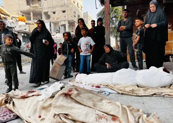 Update Hari ke-391: Para pejabat di Gaza utara menyatakan Beit Lahiya sebagai “Zona Bencana “