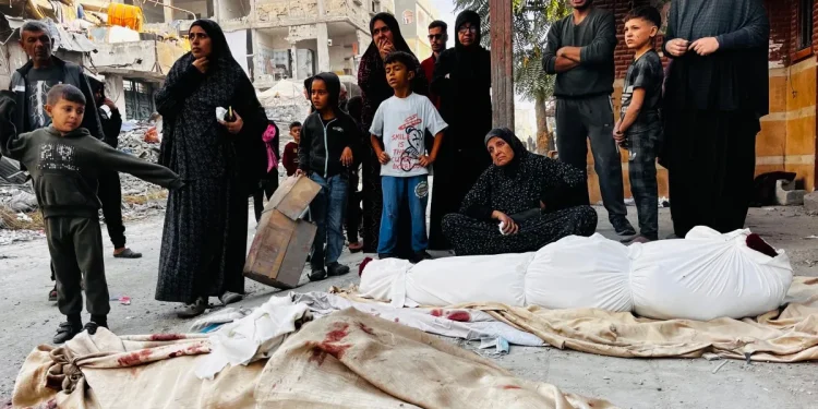 Update Hari ke-391: Para pejabat di Gaza utara menyatakan Beit Lahiya sebagai “Zona Bencana “