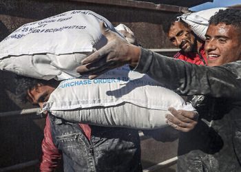 WHO Menyerukan agar Bantuan Mencapai Gaza Utara