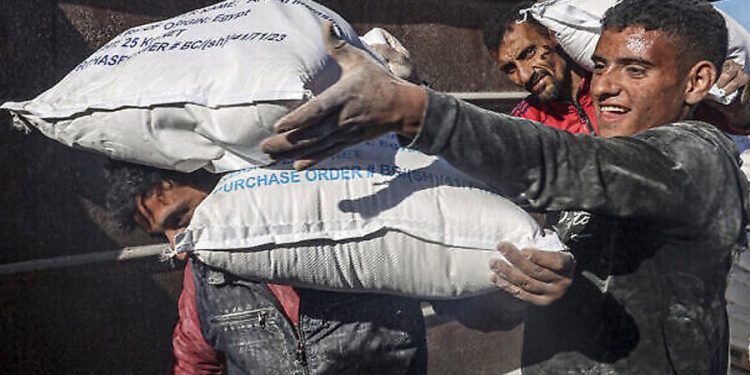 WHO Menyerukan agar Bantuan Mencapai Gaza Utara