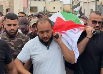 Seorang Lansia Perempuan di Tepi Barat Ditembak Mati oleh Israel saat Memanen Zaitun