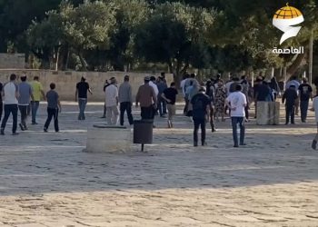 Diperlukan Upaya Berlapis untuk Melindungi Masjid Al-Aqsa dari Penodaan oleh Kelompok Ekstremis Yahudi