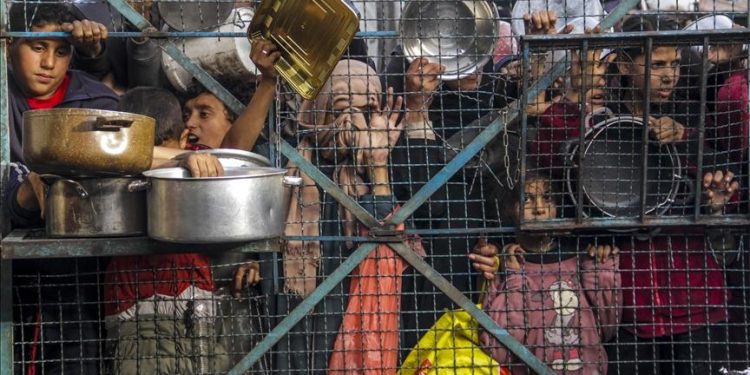 Hari Pangan Sedunia 2024: Food Genocide Semakin Gencar Merenggut Nyawa Penduduk Gaza