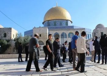 Kepala Kantor Urusan Al-Quds: Diperlukan Upaya untuk Mencegah Pemukim Menerapkan Status Quo Baru di Al-Aqsa