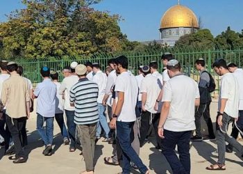 1.390 Pemukim Ilegal Israel Menyerbu Masjid Al-Aqsa
