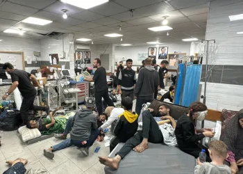 Update Hari ke-388: Pengepungan Israel di Gaza Semakin Intensif